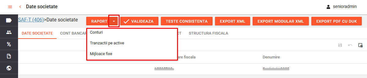 SAFT - declaratie anuala active - rapoarte.png